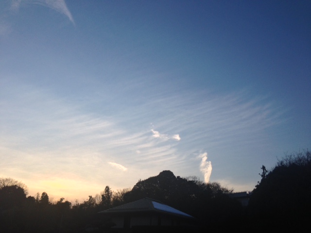 20130120-1.jpeg