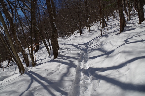 IMGP0948.JPG