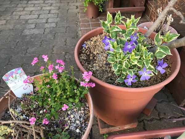 rblog-20180408182201-03.jpg