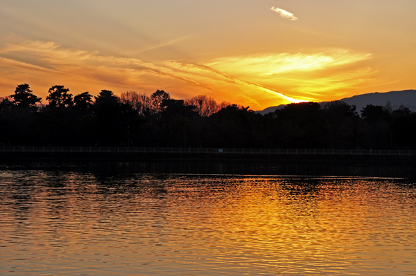夕陽５