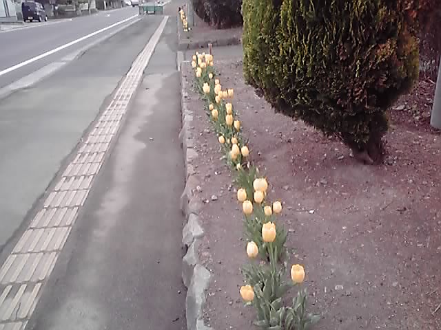 P1000119.JPG