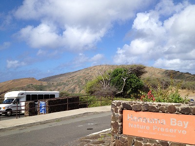hanauma
