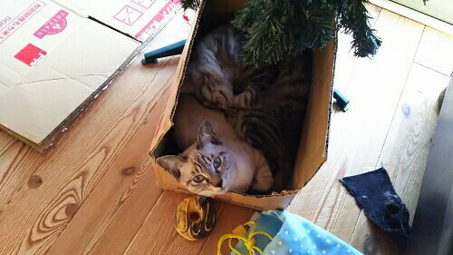 rblog-20171217195825-00.jpg