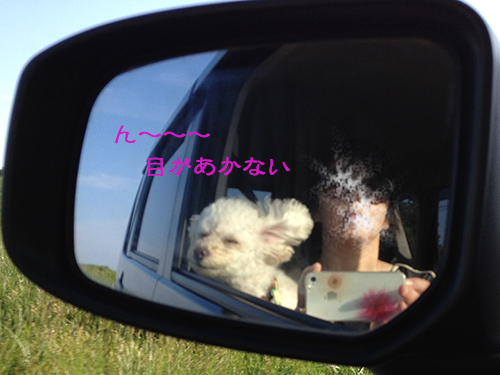 20150520_06.jpg