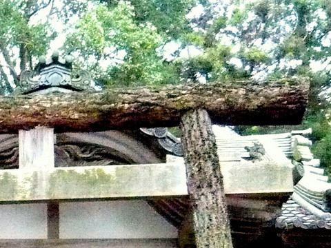 大歳神社の黒木鳥居