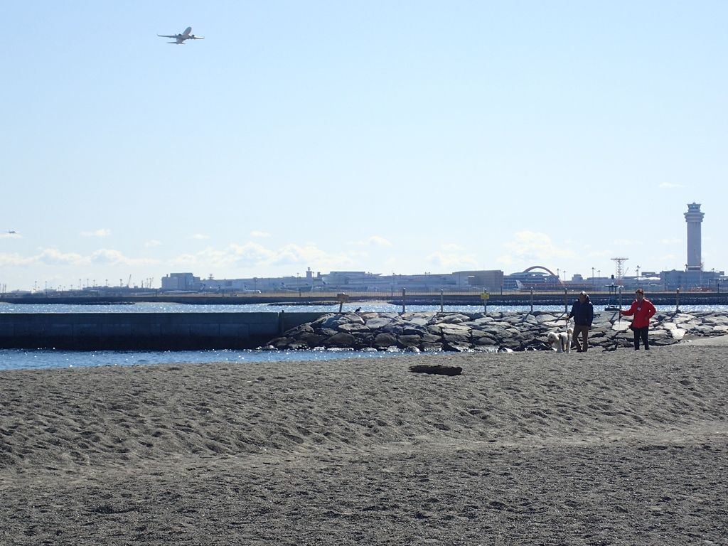 18 2 城南島海浜公園 京浜島つばさ公園 ボケないための日記のようなモノ 楽天ブログ