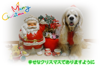 ２０１３．クリスマス.JPG