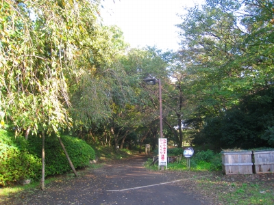 ss2