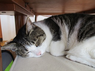 IMG_3204ss.jpg