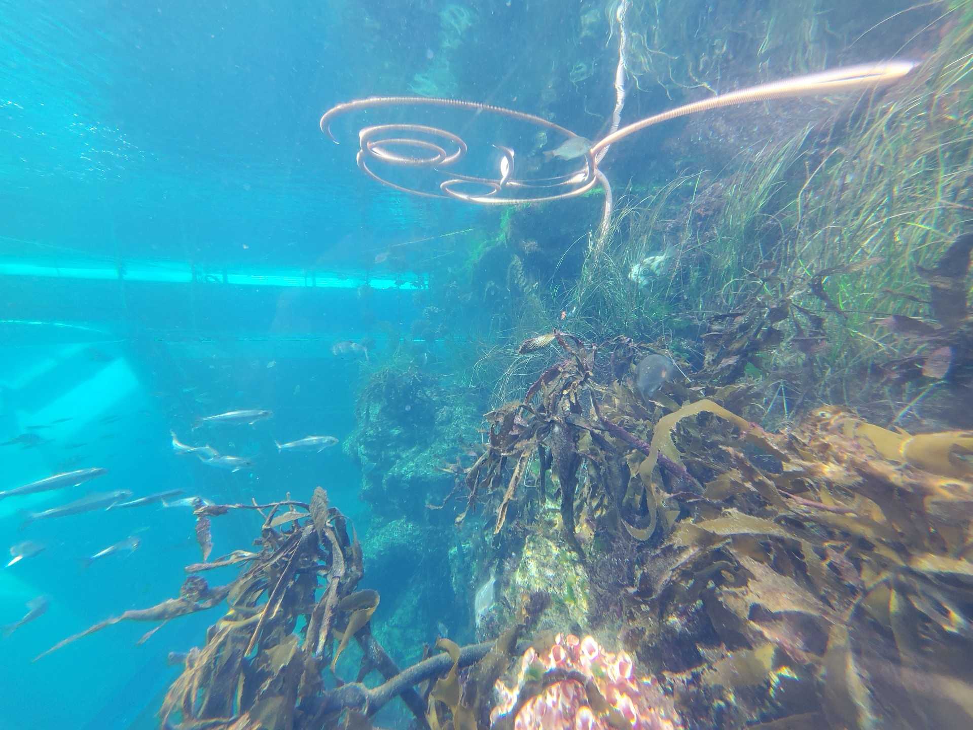 5ページ目の記事一覧 魚と日常ブログ 楽天ブログ