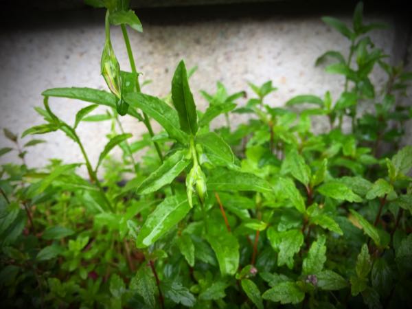 rblog-20160428172311-03.jpg
