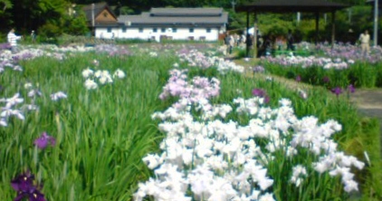 20120603144609.jpg