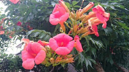 rblog-20150617062608-04.jpg
