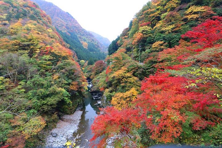 奥秩父紅葉情報 金蔵落しの渓流周辺 秩父市大滝 秩父の名湯 新木鉱泉 ９代目ブログ 楽天ブログ