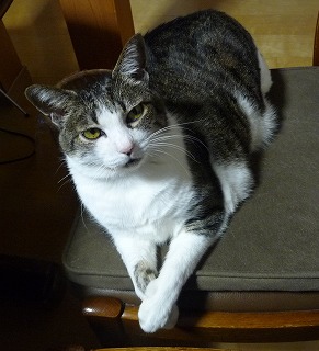 P1010848-ass.jpg
