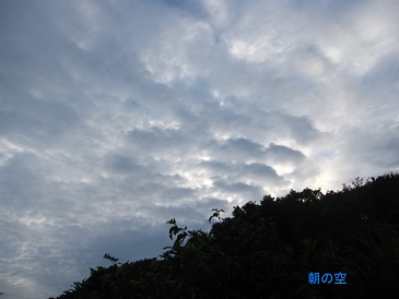 IMG_9009.JPG
