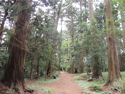 飯高寺02