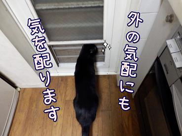 鈴気を配ります.JPG
