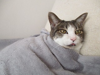 IMG_2932ss.jpg