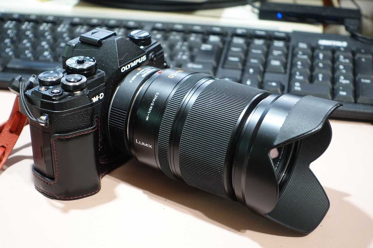 結局 D VARIO-ELMAR 14-50/3.8-5.6 MEGA O.I.S. をゲット 結局 D VARIO-ELMAR 14-50/3.8-5.6 MEGA O.I.S. をゲット