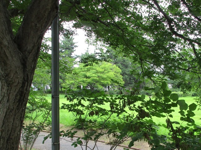 05_IMG_2043.JPG
