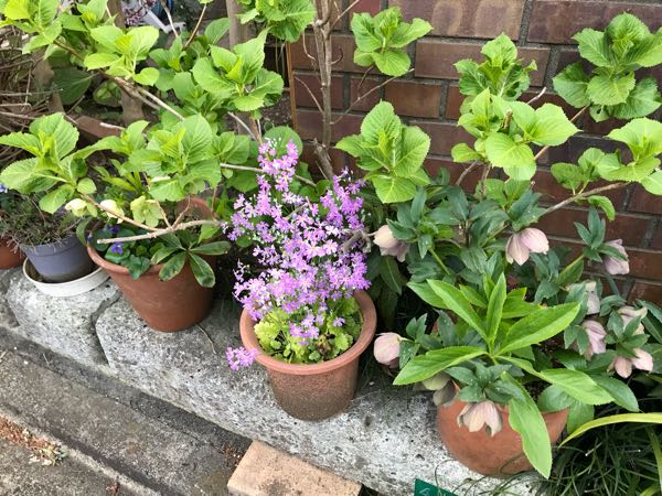 rblog-20180408181528-06.jpg
