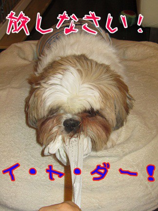 IMG_1802-m-m.jpg
