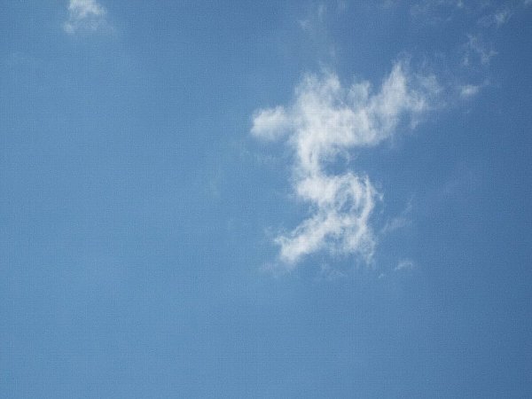 2-21- kumo-b.jpg