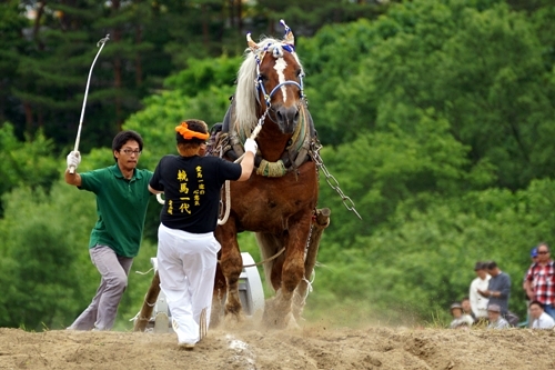 遠野馬力大会　新燕