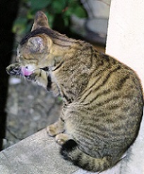 IMG_4717-21.jpg