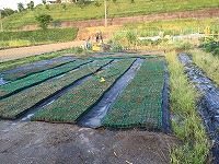 s-IMG_1804.jpg