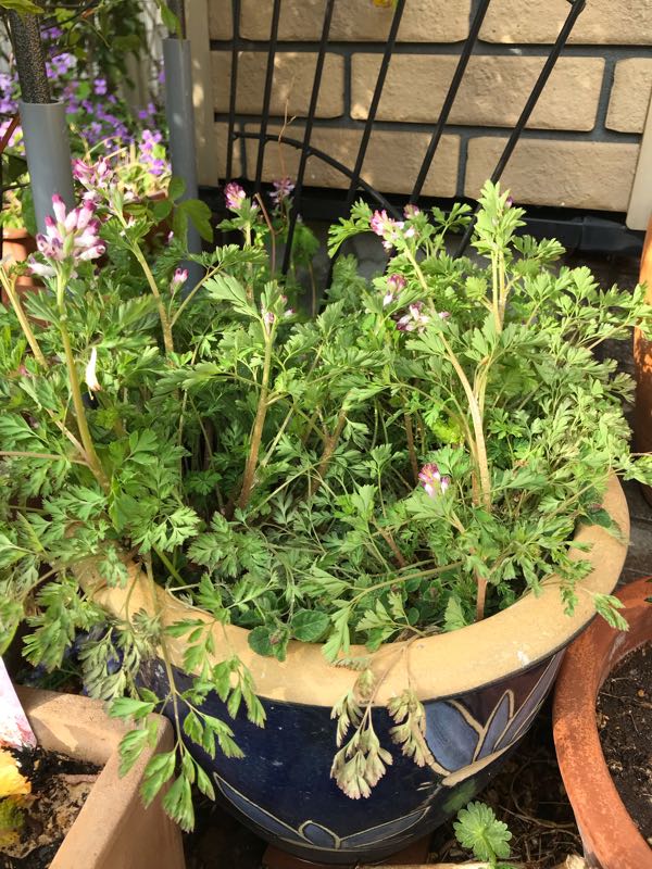 rblog-20190401164419-07.jpg