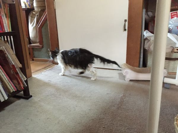 rblog-20150522124859-02.jpg