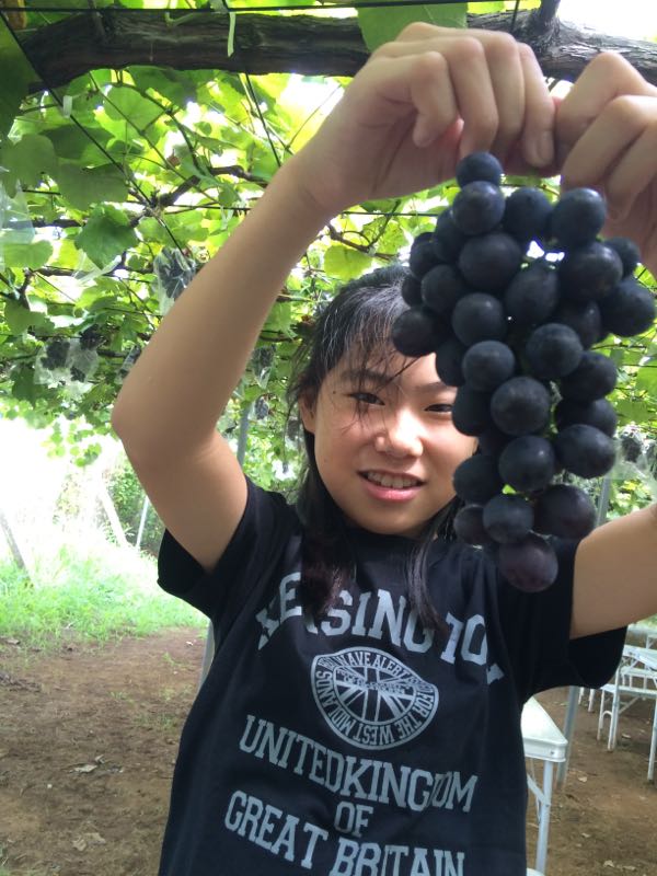 rblog-20150817003511-03.jpg