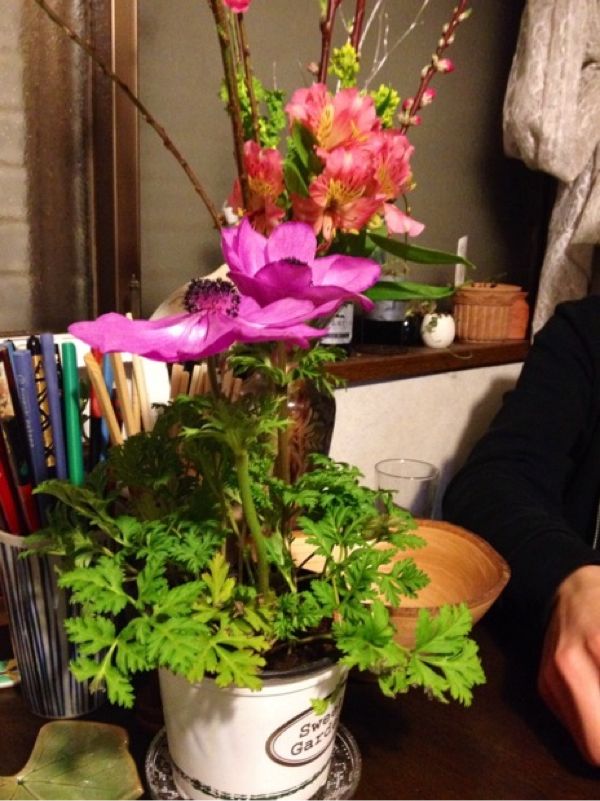 rblog-20140224220142-00.jpg
