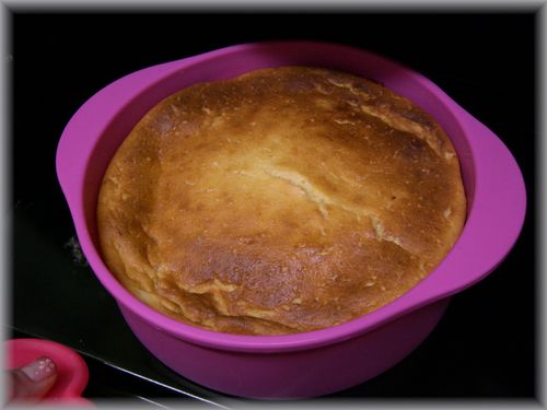 ヨーグルトとHMで超簡単濃厚チーズケーキ 