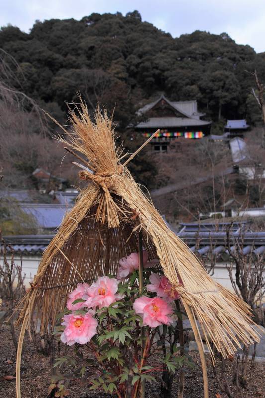 長谷寺・本坊境内_004.jpg