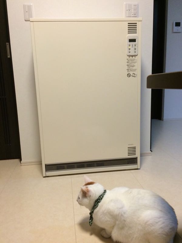 rblog-20141112063213-01.jpg