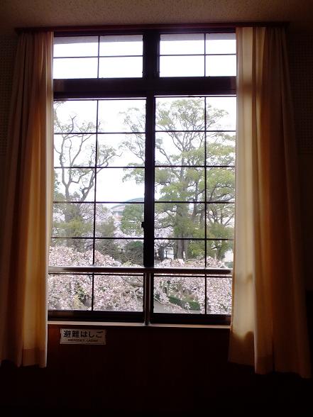 画像 773.jpg