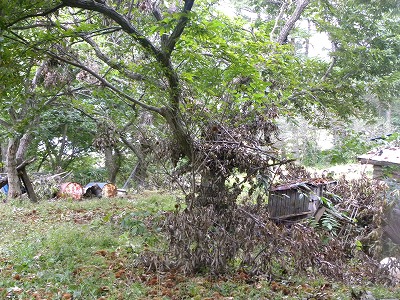DSCN0250.jpg