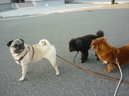 P1100089.JPG