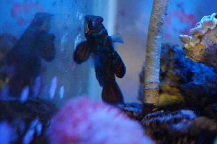 2012_1125ﾃｸﾞﾘﾝ0020.JPG