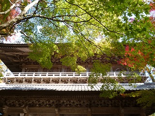 P1260748ss.jpg