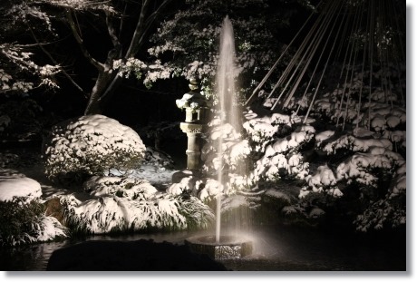 兼六園ライトアップ　・冬の段-5 14.2.4