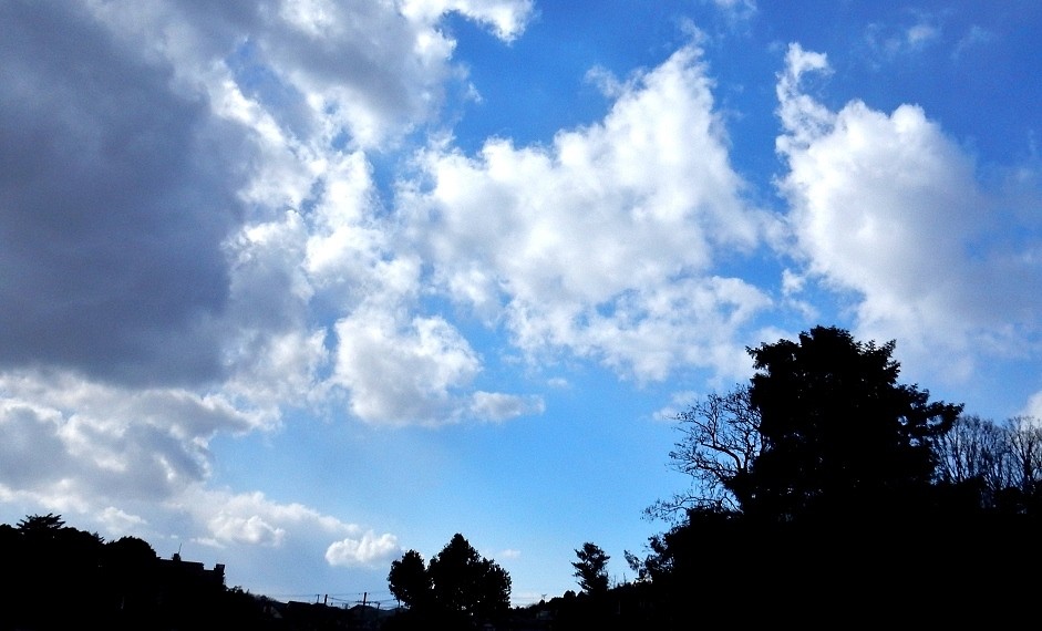 空3.JPG