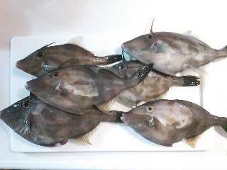 NCM_0421.JPG
