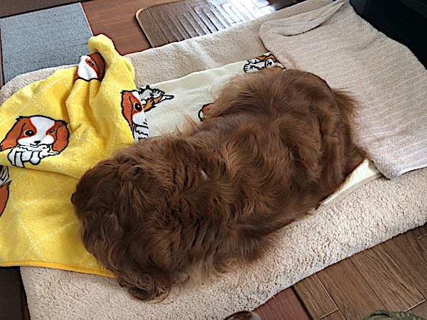 rblog-20180418141904-02.jpg