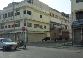 インド569.jpg