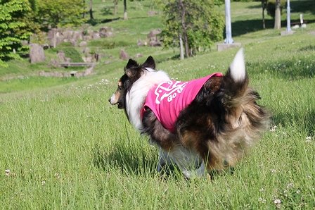 IMG_9889.jpg