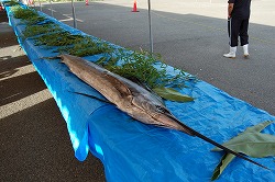 s-DSC_0127.jpg
